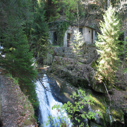 Black Forest  Picture 007.jpg